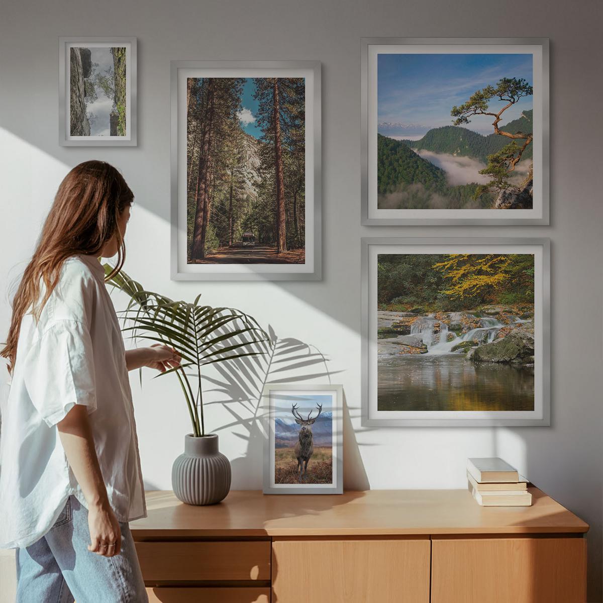 BILDER SET 5er Set - 50x50 cm & 20x30 cm & 40x60 cm Silberner Rahmen - Wasserfall Wald Berge Hirsch Natur - Silberfarben, Kunststoff (40/60cm) - TULUP