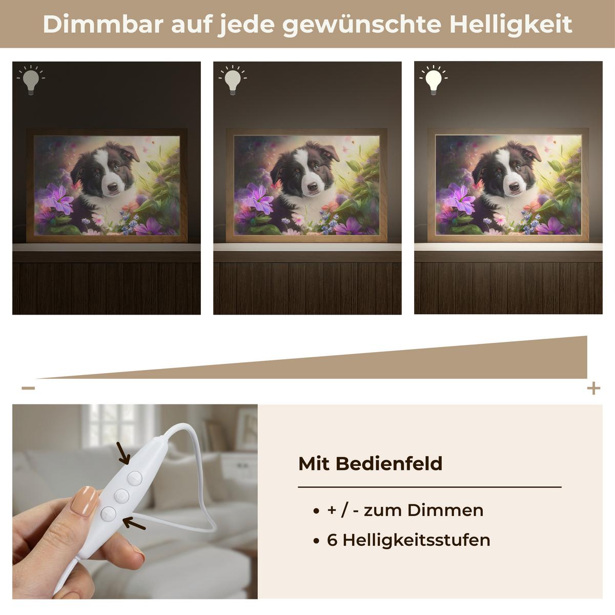 WANDLEUCHTE Welpe - Sonne - Blumen - Natur - Border Collie - Hund 30x20 cm - Violett, Holzwerkstoff (30/20/8cm) - OnlyWow