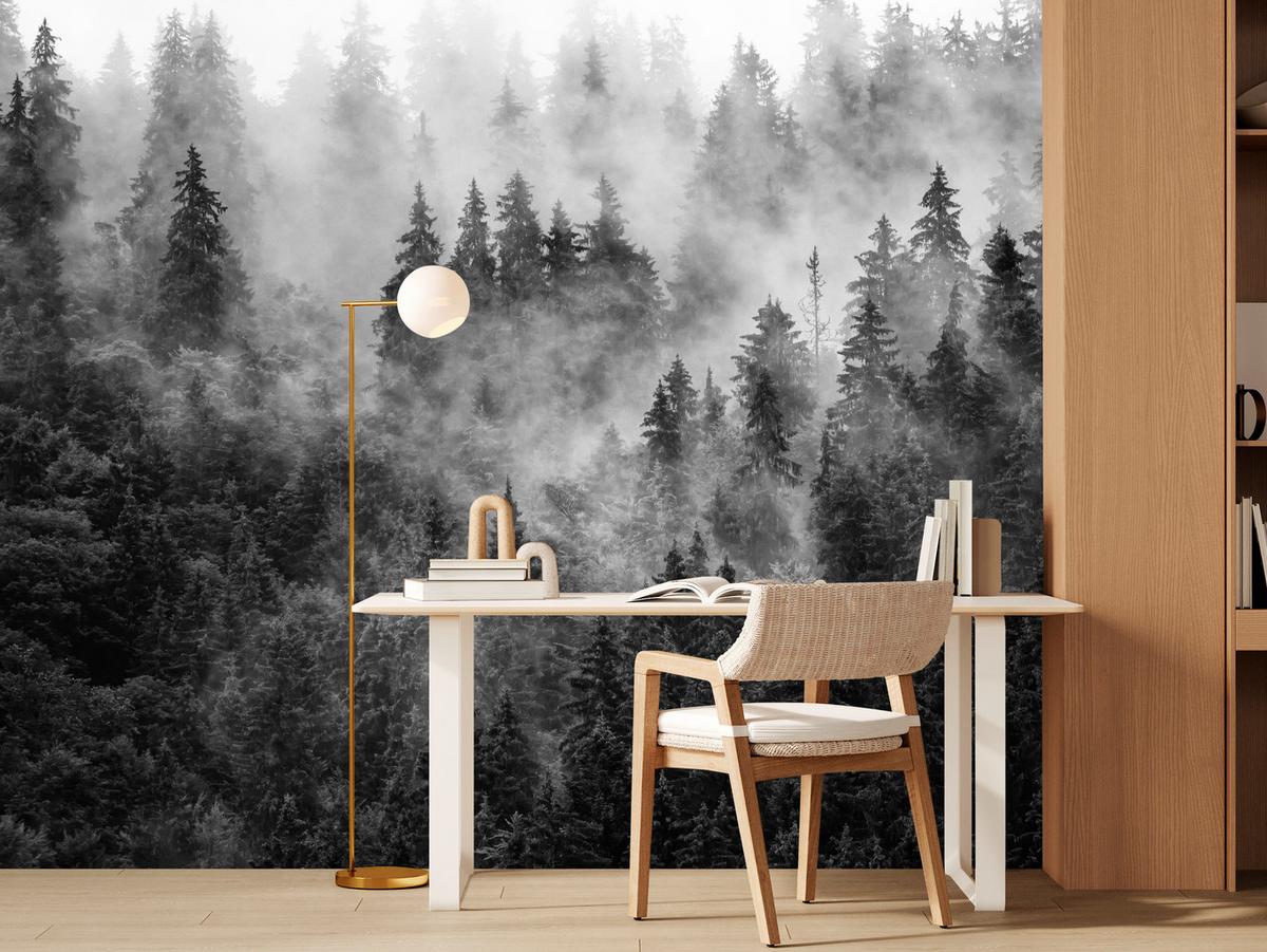 FOTOTAPETE für Wohnzimmer Dichter Nebel Forst Bäume 450x315 - Schwarz/Weiß, Papier (450/315cm) - Muralo