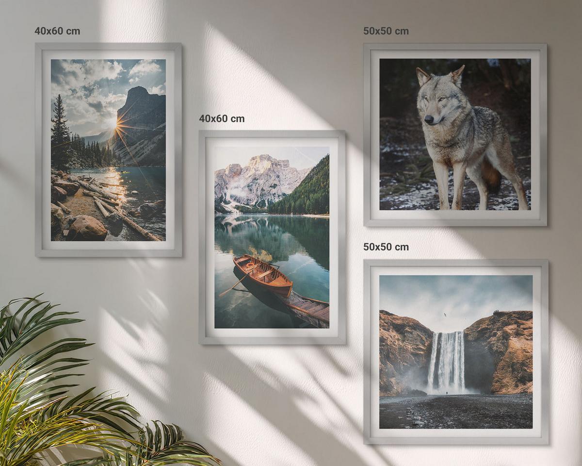 BILDER SET 4er Set - 50x50 cm & 40x60 cm Silberner Rahmen - Berge, Seen, Wasserfall, Wolf - Silberfarben, Kunststoff (50/50cm) - TULUP
