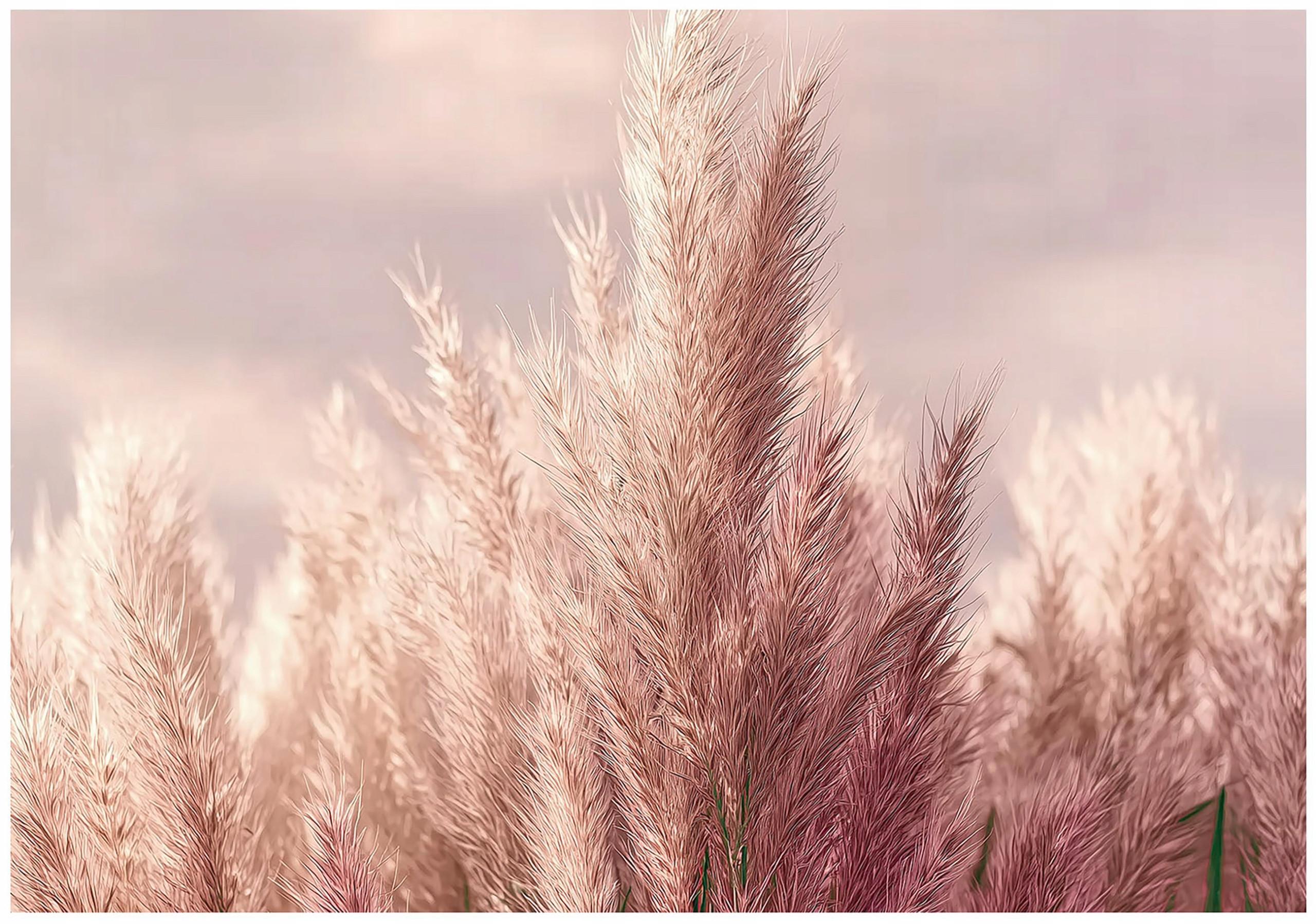 FOTOTAPETE Gras Boho Natur 350x250 - Multicolor, Papier (350/250cm) - Wallarena