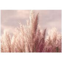 FOTOTAPETE Gras Boho Natur 150x105 - Multicolor, Papier (150/105cm) - Wallarena