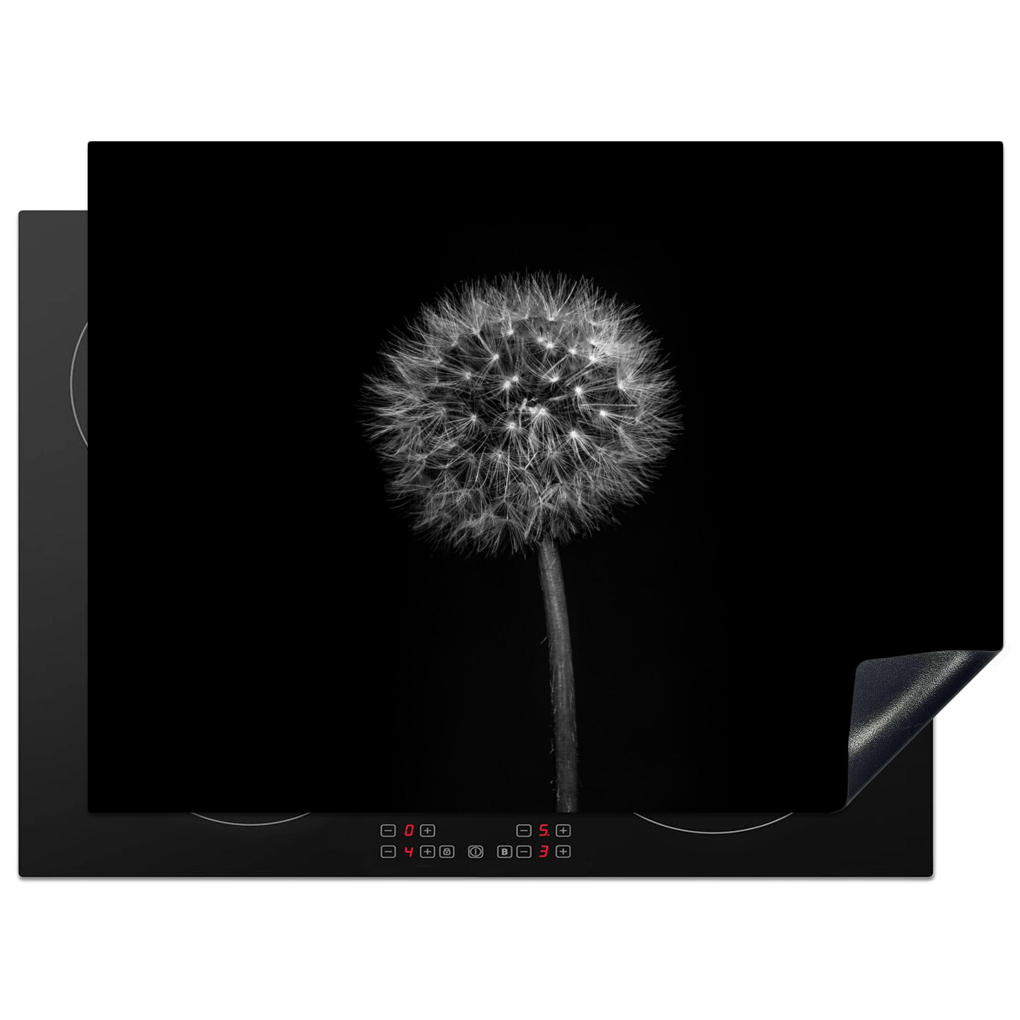 HERDABDECKPLATTE Löwenzahn - Schwarz - Floral - Botanisch Induktionsmatte 71x52 cm - Grau, Kunststoff (71/52/0.2cm) - MuchoWow