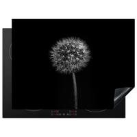 HERDABDECKPLATTE Löwenzahn - Schwarz - Floral - Botanisch Herdabdeckung Induktionsfeld 70x52 cm - Grau, Kunststoff (70/52/0.2cm) - MuchoWow