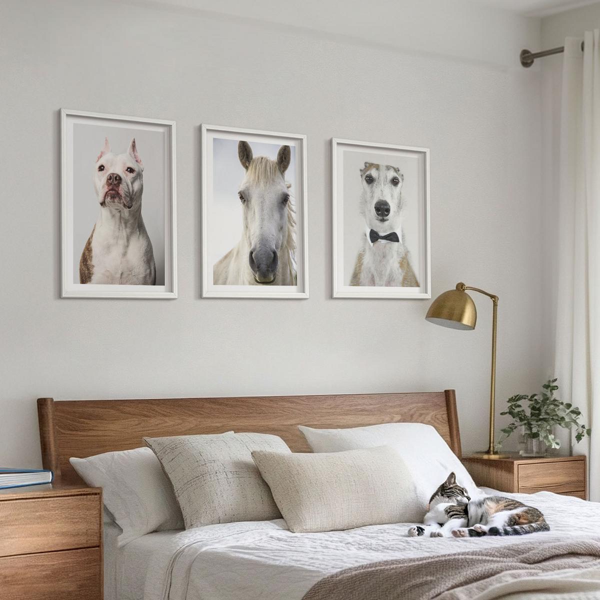 BILDER SET 3er Set - 40x60 cm Weißer Rahmen - Elegante Porträts von Hunden und Pferden - Weiß, Kunststoff (40/60cm) - TULUP