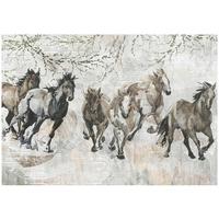 FOTOTAPETE Pferde Vintage Grau 416x254 cm - Multicolor, Textil (416/254cm) - Wallarena