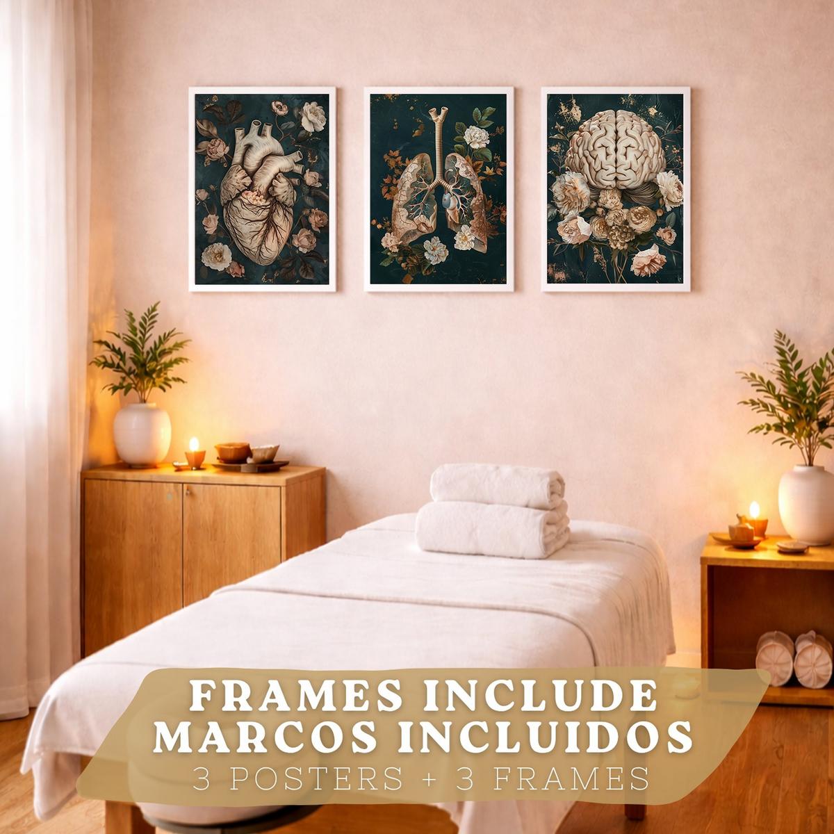 POSTER Set aus 3 Anatomie Drucke und Dekorative Wandbilder mit Herz Gehirn Lungen Atmungssystem Florales Grün Gold Design Größe Weißer Rahmen A4 - Weiß, Papier (21/29.7/3cm) - Nacnic