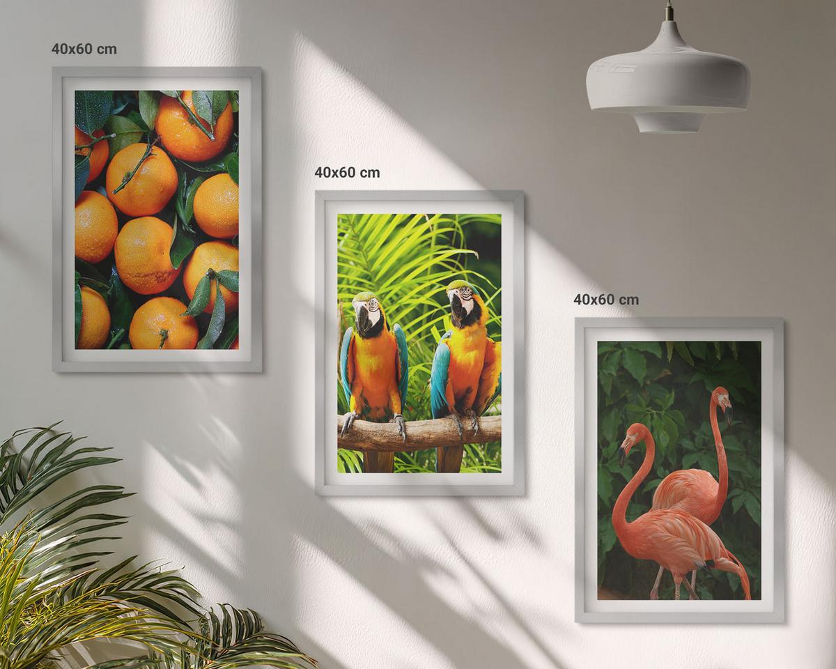 BILDER SET 3er Set - 40x60 cm Silberner Rahmen - Fruchtige Akzente in den Tropen - Silberfarben, Kunststoff (40/60cm) - TULUP