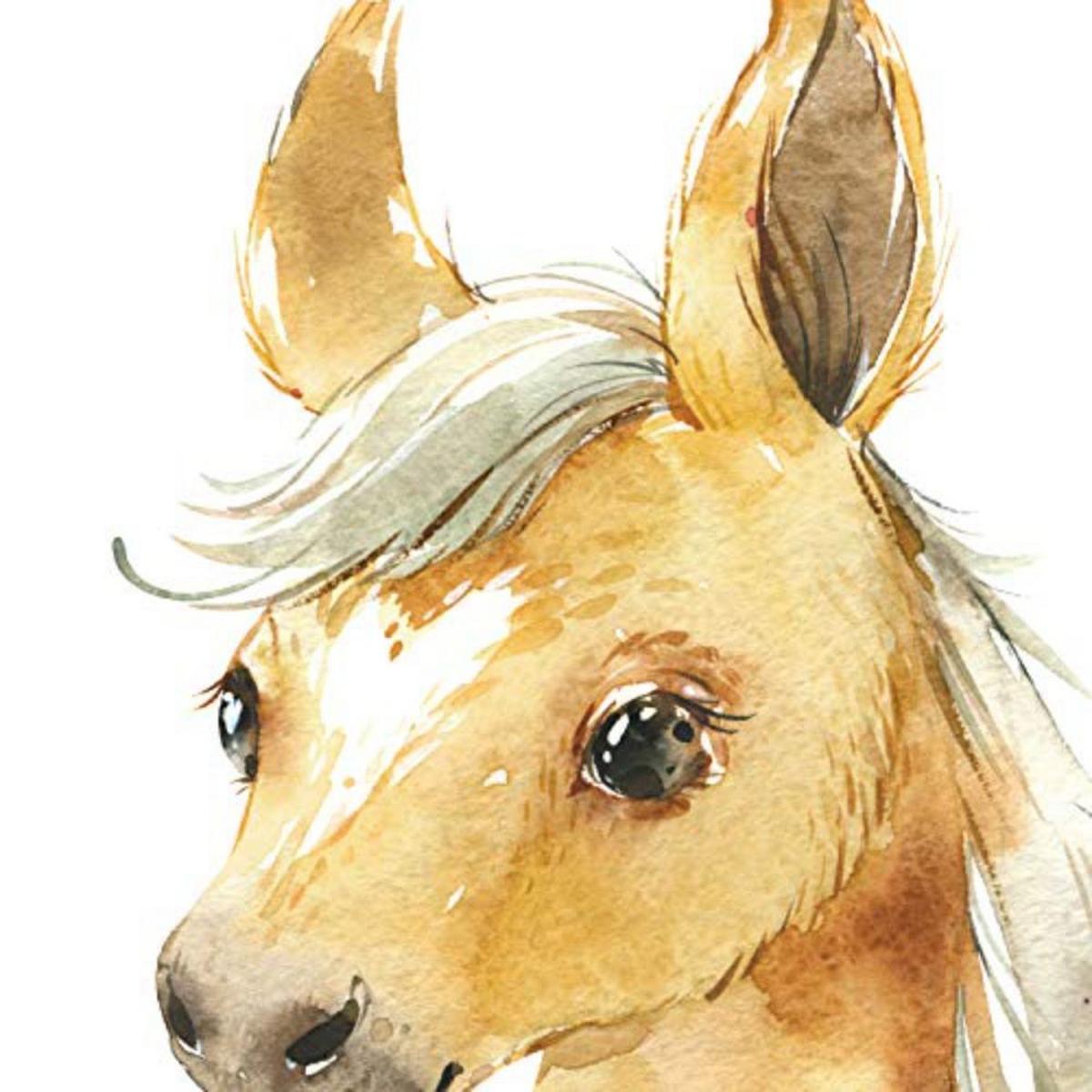 POSTER Set mit 4 Burro Horse Cow und Kaninchen A4 Schwarzer Rahmen - Schwarz, Papier (29.7/3cm) - Nacnic