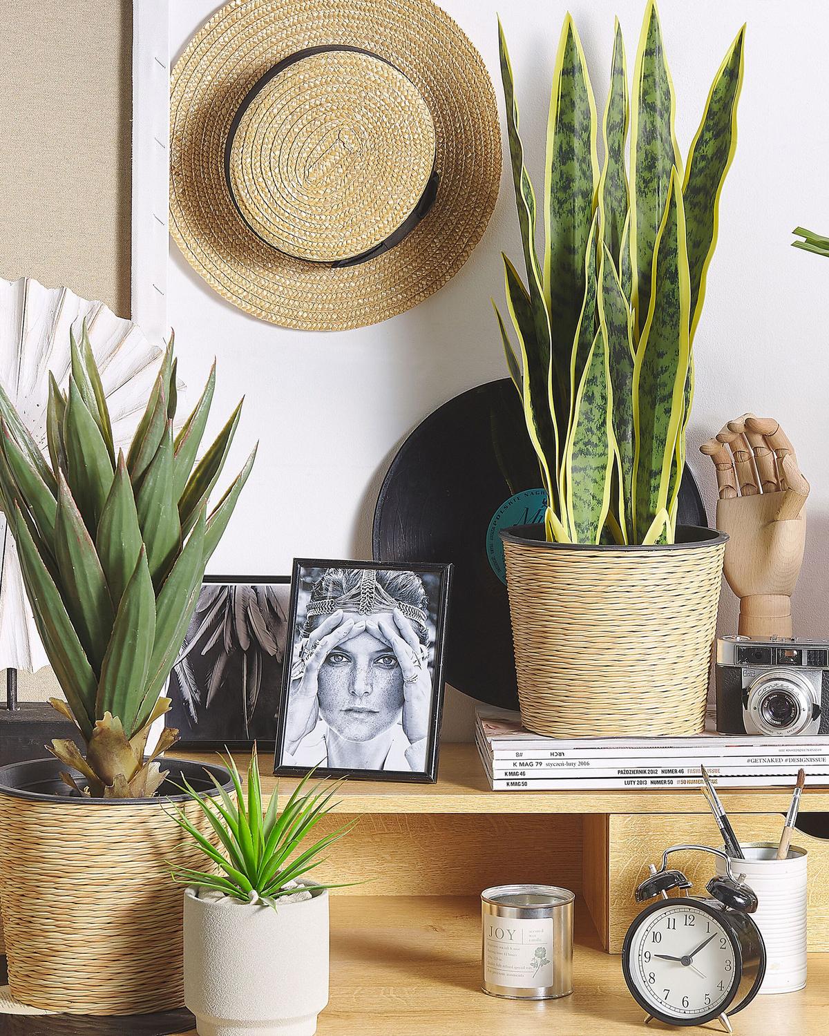 KUNSTPFLANZE Grün Snake Plant - Schwarz/Grün, Kunststoff (63cm) - Beliani