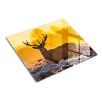 GLASPLATTE 60x52 cm Sonnenaufgang über dem Hirsch - Orange, Glas (60/0.4/52cm) - TULUP