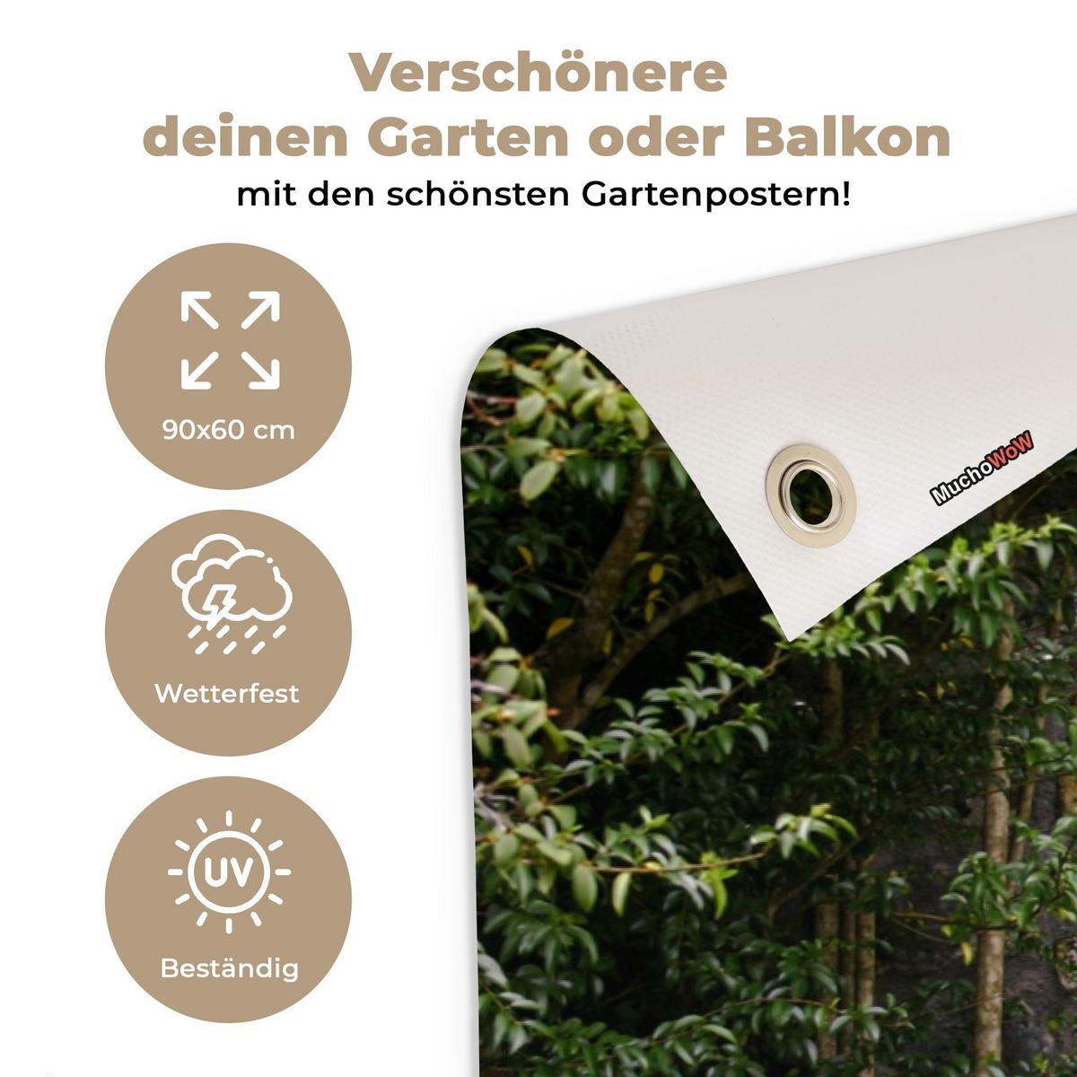 GARTENPOSTER Transparent - Blumen - Hortensie - Sommer Gartendeko 90x60 cm - Graubraun, Kunststoff (90/60/0.2cm) - OnlyWow