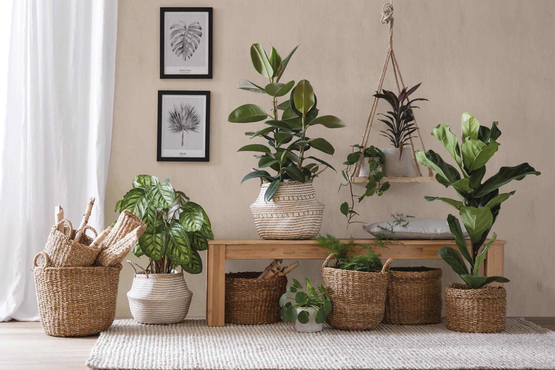 Wohnaccessoires mömax