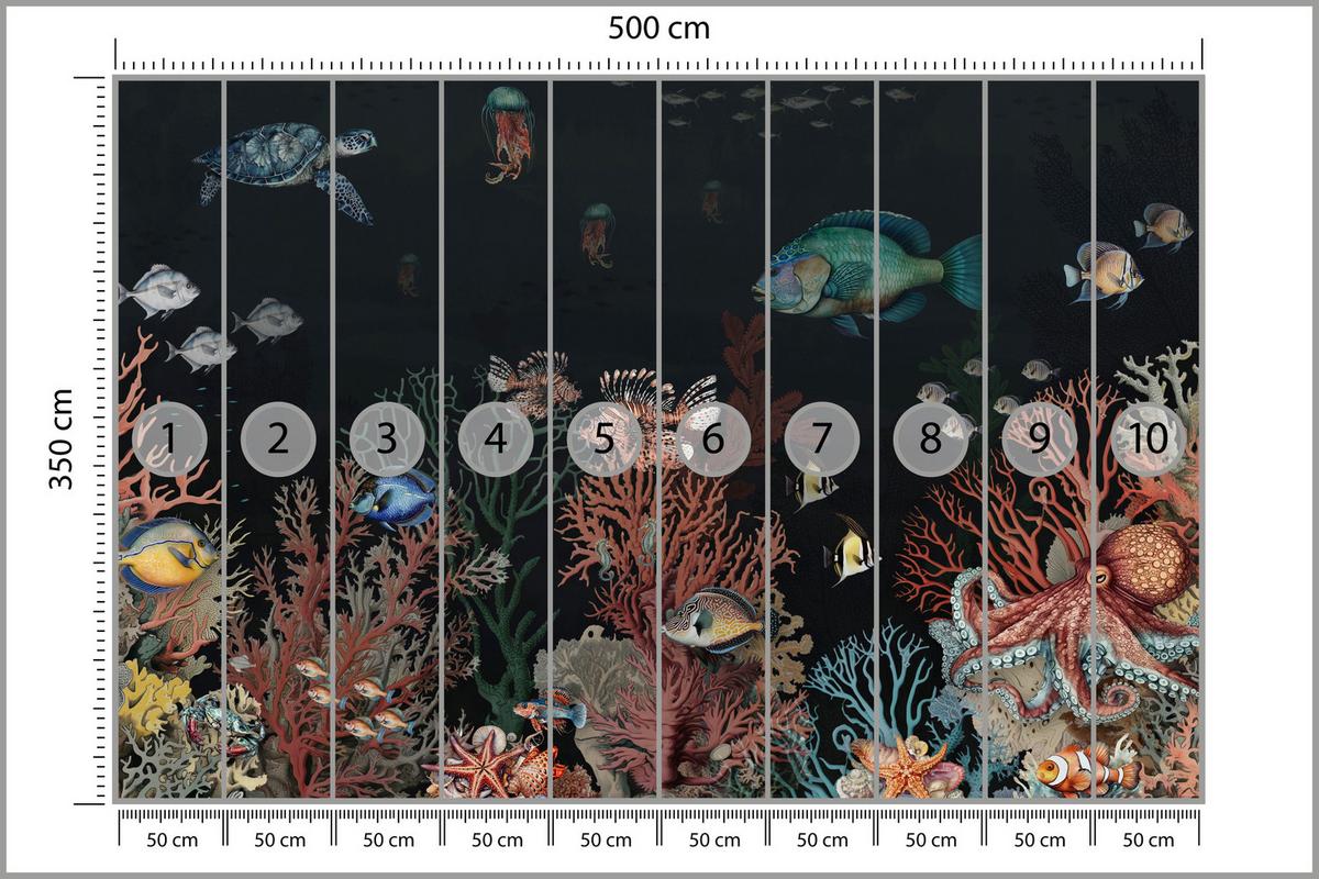 FOTOTAPETE für Badezimmer Bunter Unterwasser Pflanzen Riff Fische 500x350 - Rot/Schwarz, Papier (500/350cm) - Muralo
