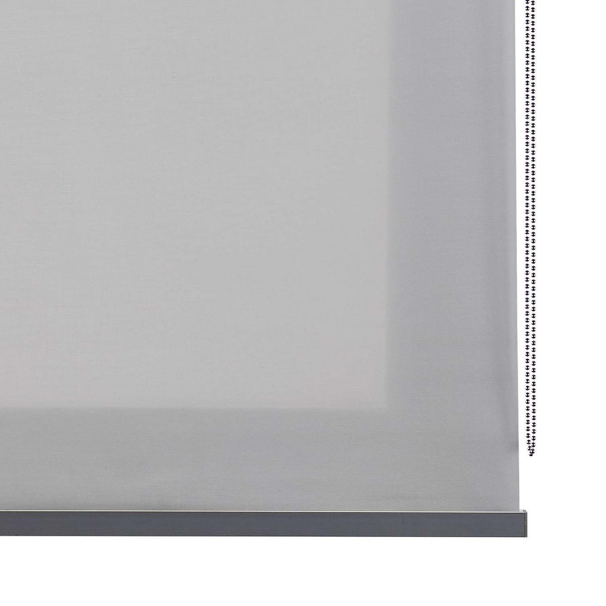 ROLLO Hellgrau,100cm x 250cm - Hellgrau, Kunststoff (100/250cm) - STORESDECO