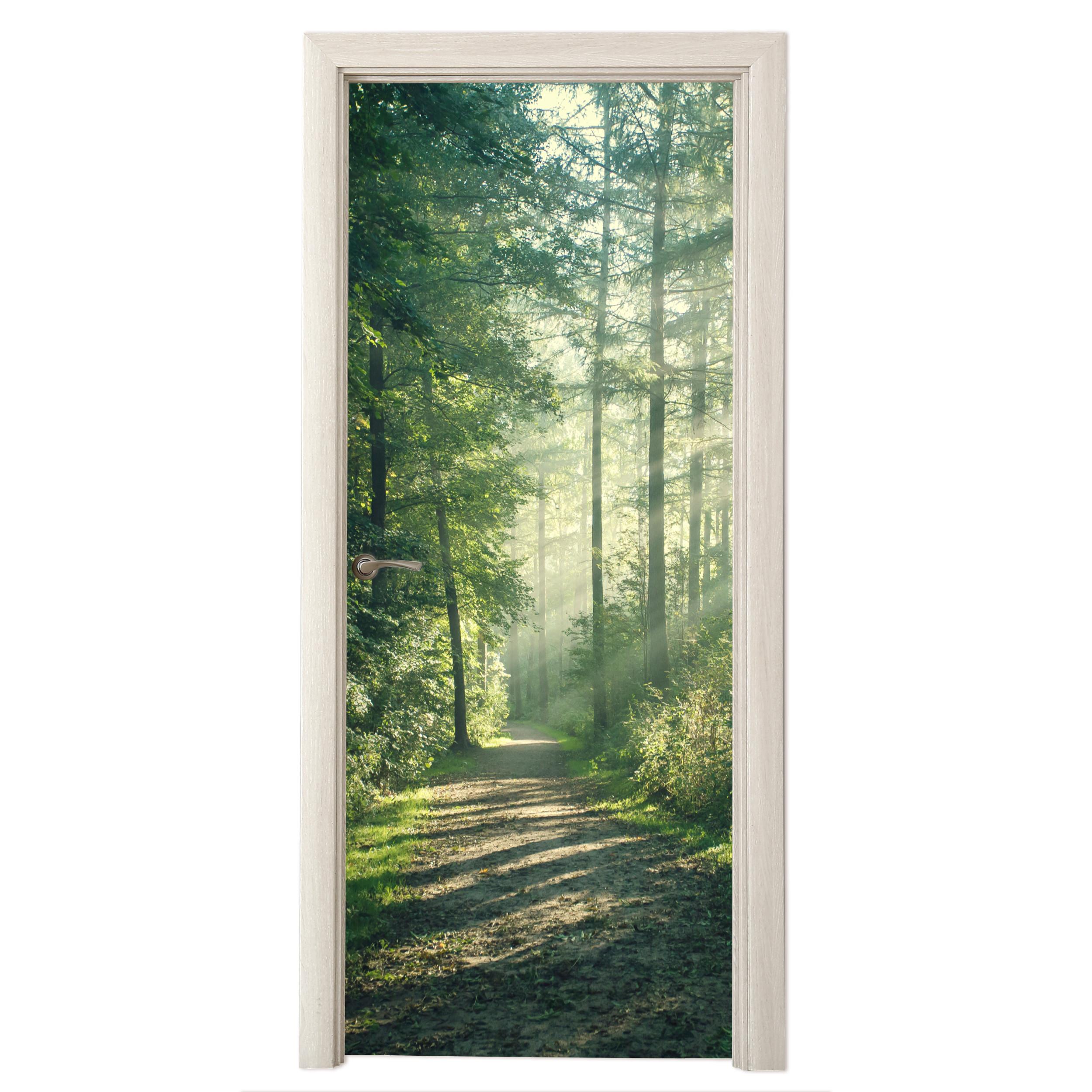 TÜRAUFKLEBER Wald - Weg - Sonne - Bäume - Grün - Natur Deko Schlafzimmer 95x215 cm - Türtapete - Waldgrün, Kunststoff (95/0.1cm) - MuchoWow