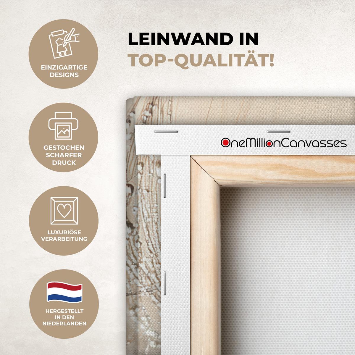 LEINWANDBILD Löwenzahn - Abstrakt - Natur - Beige Wandbild Wohnzimmer 60x80 cm - Braun, Textil (60/80cm) - MuchoWow