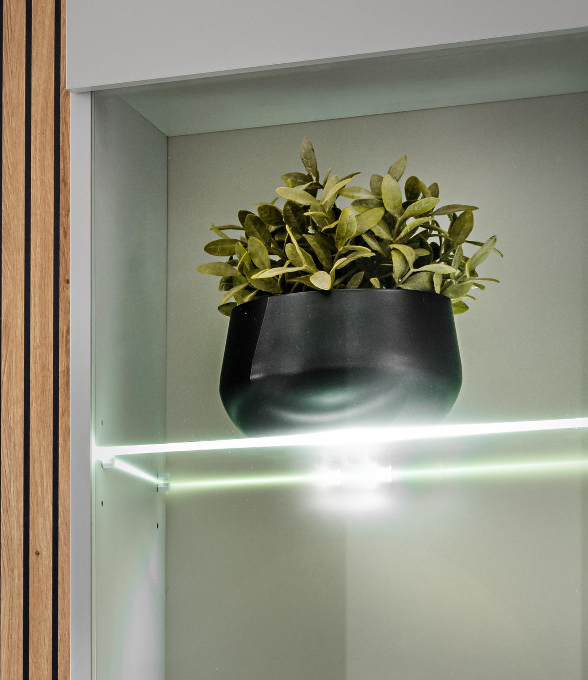 WOHNWAND hellgrau, schwarz, Eiche Artisan 200 cm, Schrankwand inklusive Ethanol Kamin und Beleuchtung - Hellgrau/Schwarz, Glas/Holzwerkstoff (200/148/35cm) - Inn.Furn