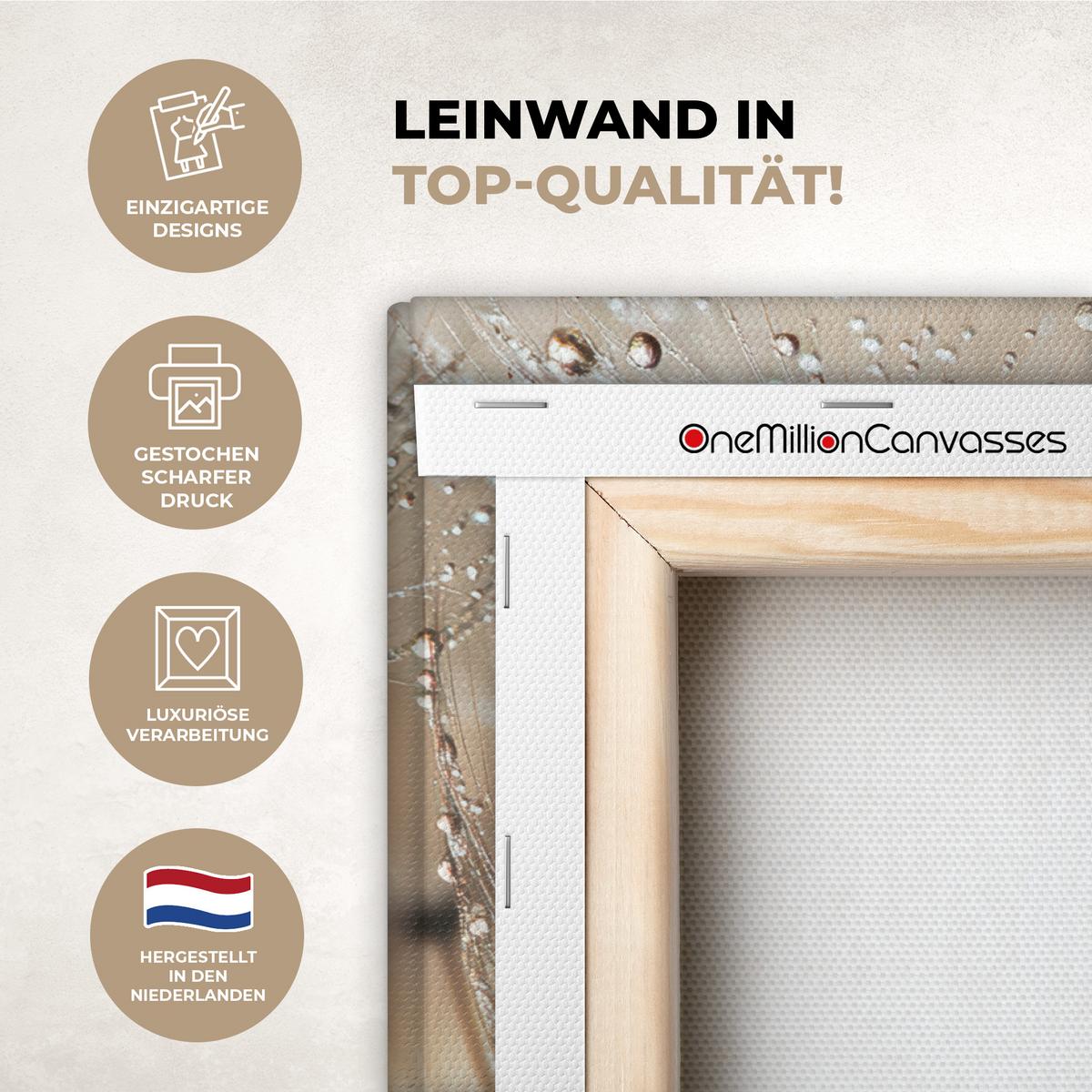 LEINWANDBILD Löwenzahn - Abstrakt - Natur - Beige Gemälde 60x40 cm - Braun, Textil (60/40cm) - MuchoWow