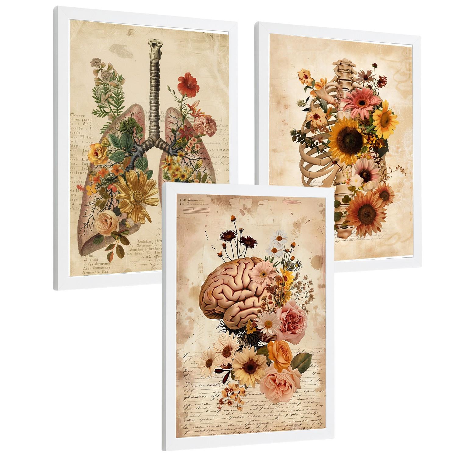 POSTER Set aus 3 Anatomie Mensch Vintage Florale Drucke und Wandbilder mit Lungen Brustkorb und Gehirn Botanischer Antiker Stil Größe Weißer Rahmen A4 - Weiß, Papier (21/29.7/3cm) - Nacnic