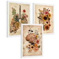 POSTER Set aus 3 Anatomie Mensch Vintage Florale Drucke und Wandbilder mit Lungen Brustkorb und Gehirn Botanischer Antiker Stil Größe Weißer Rahmen A4 - Weiß, Papier (21/29.7/3cm) - Nacnic
