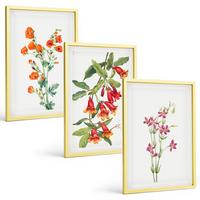 BILDER SET 3er Set - 40x60 cm Goldrahmen - Vintage-Retro-Blumenmalerei - Goldfarben, Kunststoff (40/60cm) - TULUP