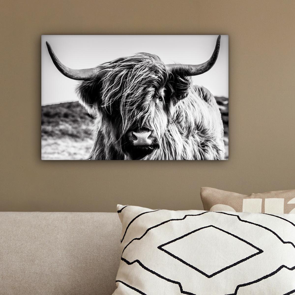 LEINWANDBILD Kuh - Schottischer Hochländer - Schwarz - Weiß - Tier - Natur - Wildtiere Deko Schlafzimmer 30x20 cm - Schwarz, Textil (30/20cm) - MuchoWow