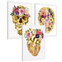 POSTER Set aus 3 Anatomie Mensch Drucke und Wandbilder mit Schädel Gehirn und Herz Goldene Florale Künstlerische Illustration Größe Weißer Rahmen A4 - Weiß, Papier (21/29.7/3cm) - Nacnic