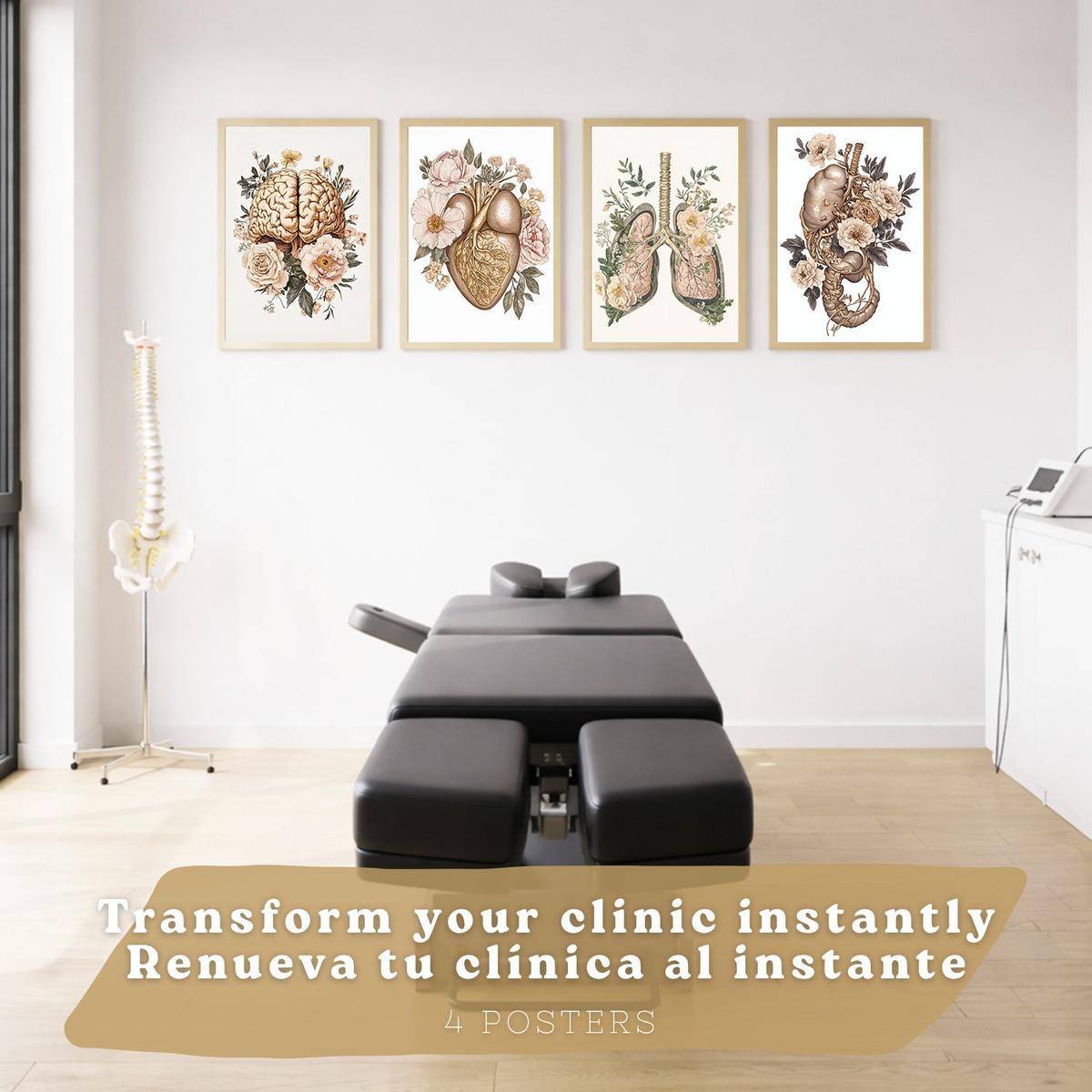 POSTER Set aus 4 Körper Anatomie Drucke mit Gehirn Herz Lungen Luftröhre Bronchien Nieren Verdauungssystem Magen Darm Größe Leichter Holzrahmen A4 - Beige, Papier (21/29.7/3cm) - Nacnic
