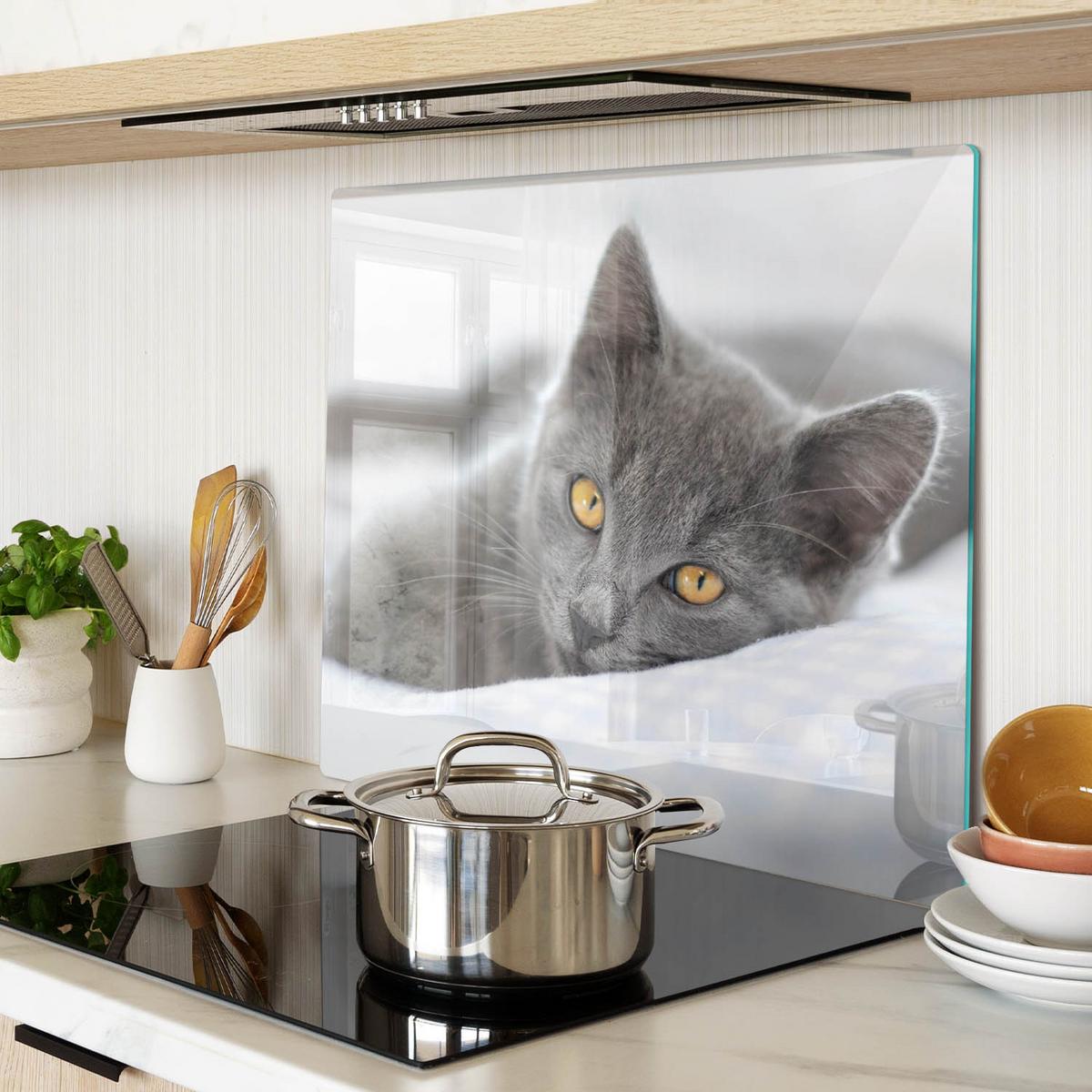 GLASPLATTE 60x52 cm Graue Katze - Grau, Glas (60/52cm) - TULUP