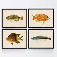 POSTER Set mit 4 Stil Blau, Orange und Grün Fische A3 Rahmenlos - Klar, Papier (29.7/3cm) - Nacnic
