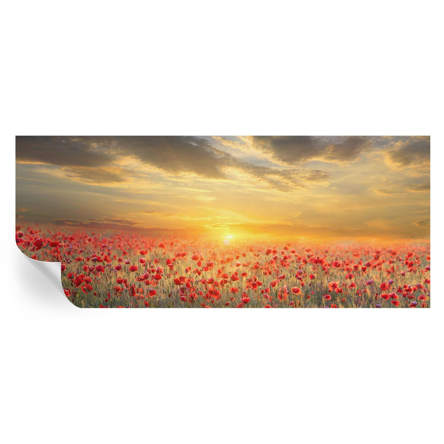 FOTOTAPETE 250x104 cm - Mohnfeld - Rot, Textil (250/104cm) - Wallfluent