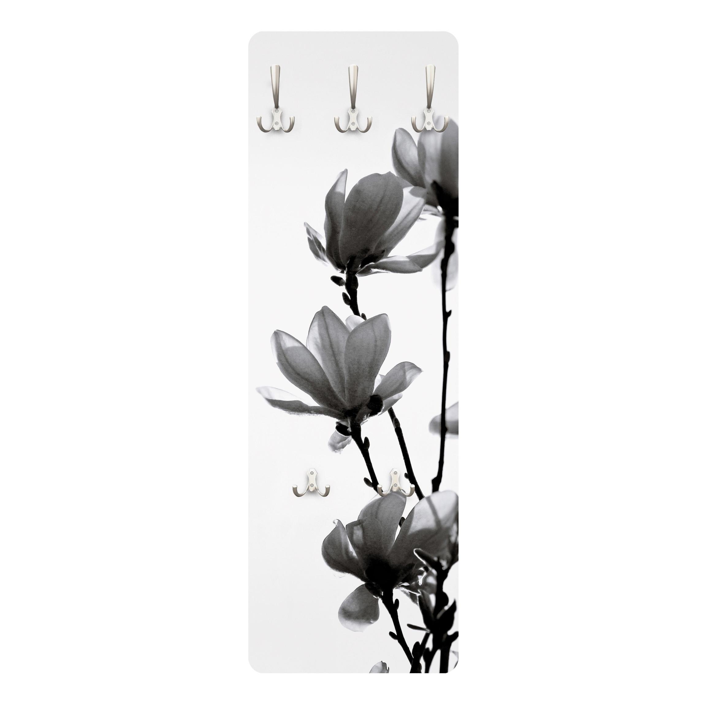 WANDGARDEROBE - Frühlingsbote Magnolie Schwarz, Weiß 34/105 cm - Schwarz, Holzwerkstoff (34/105/1.6cm) - Bilderwelten