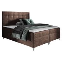 BOXBETT Snake - H3 - Braun, Holz (160/200cm) - MIRJAN24