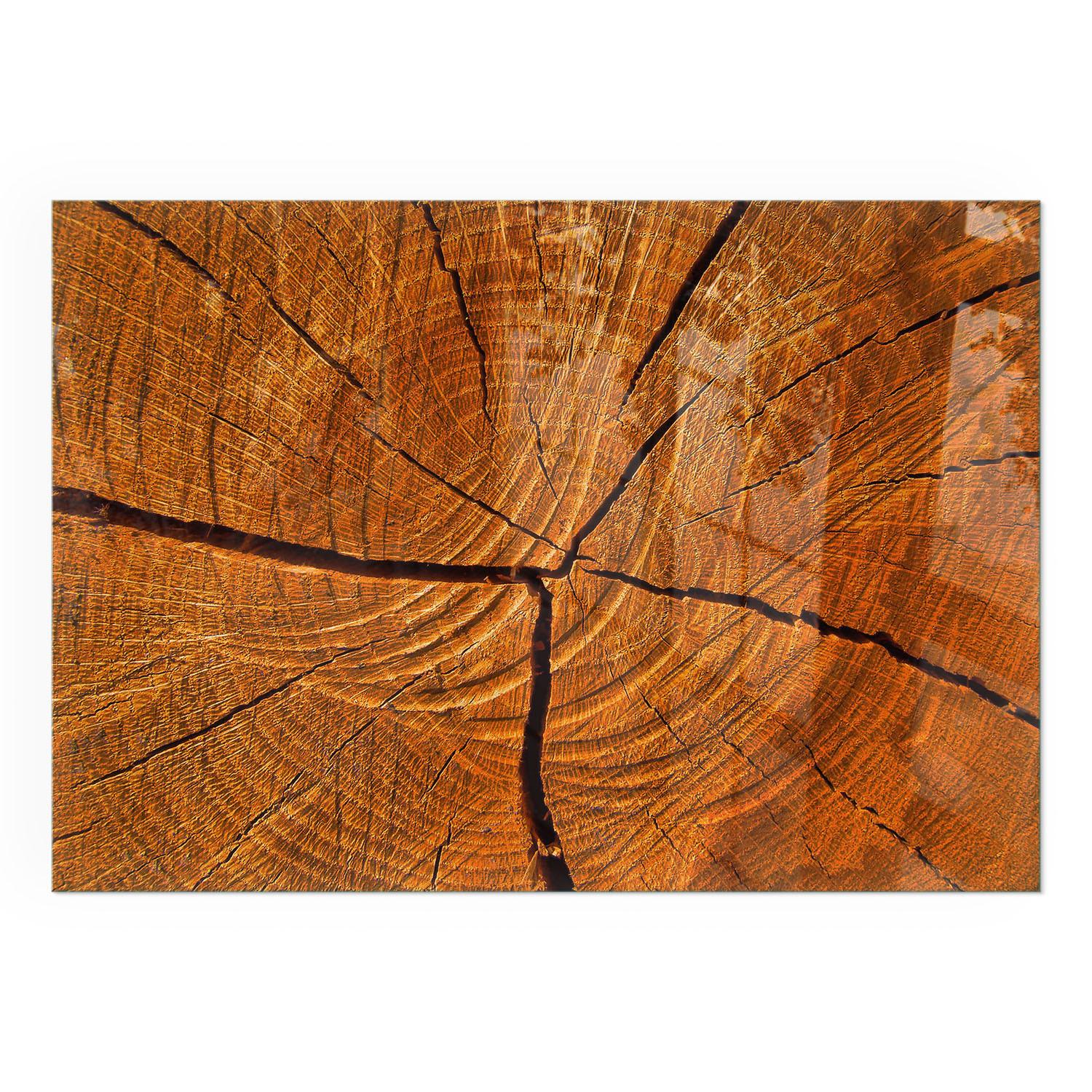 GLASPLATTE für Kamin 100x70 cm - Orange, Glas (100/70/0.4cm) - TULUP