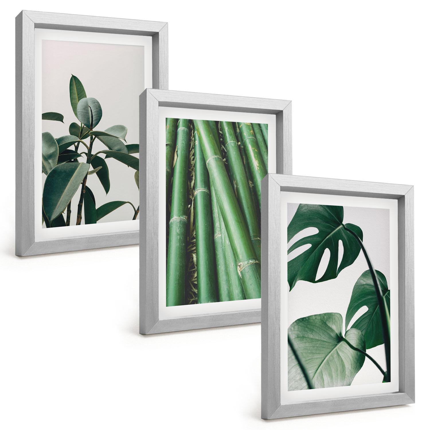 BILDER SET 3er Set - 20x30 cm Silberner Rahmen - Bambusstängel und Monstera-Blätter - Silberfarben, Kunststoff (20/30cm) - TULUP