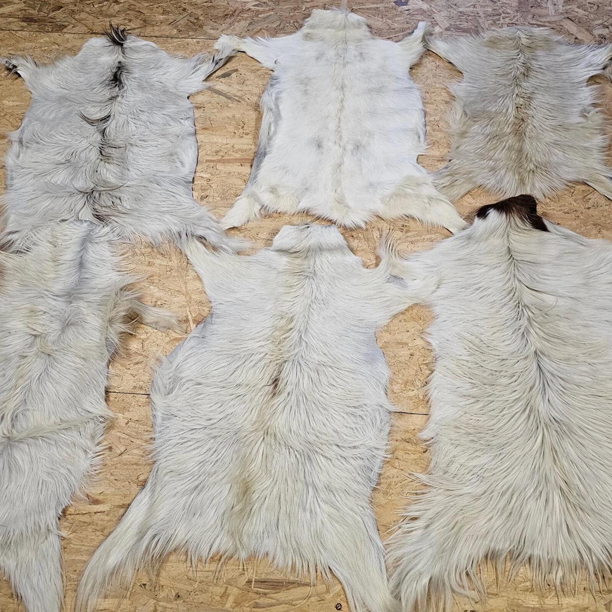 FELL Ziegenfell Eher Hell Naturfarben Teppich ca. 90 cm 1.Wahl - Hellgrau/Weiß, Fell (50/90cm) - Provellus