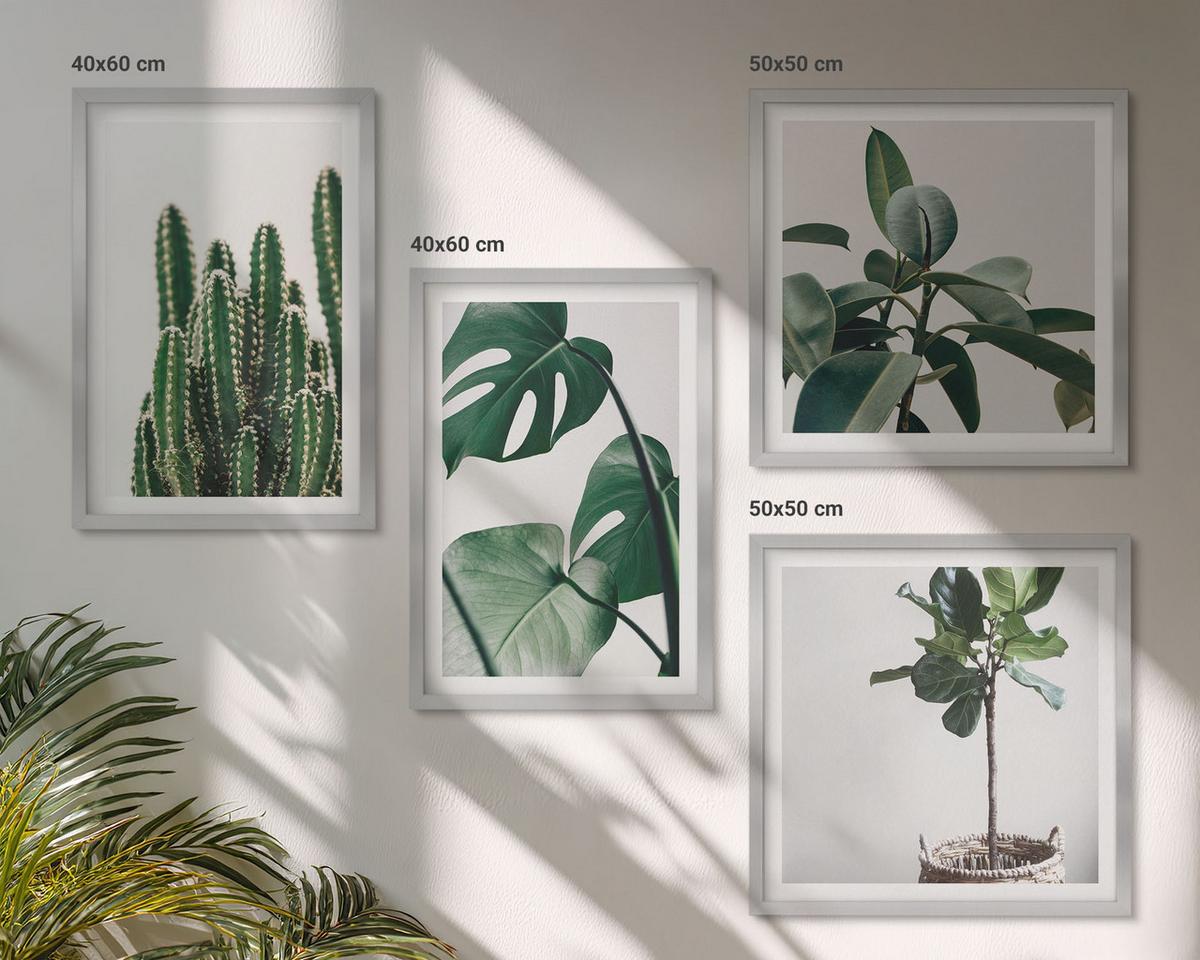 BILDER SET 4er Set - 50x50 cm & 40x60 cm Silberner Rahmen - Ästhetik tropischer Pflanzen - Silberfarben, Kunststoff (50/50cm) - TULUP