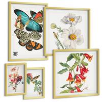 BILDER SET 5er Set - 50x50 cm & 20x30 cm & 40x60 cm Goldrahmen - Blumen, Schmetterlinge, Vögel, Pastellfarben - Goldfarben, Kunststoff (40/60cm) - TULUP