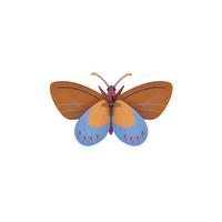 WANDDEKO Azur-Monarch 10/20.5 cm - Multicolor, Wellpappe (10/20.5/34cm) - Studio Roof