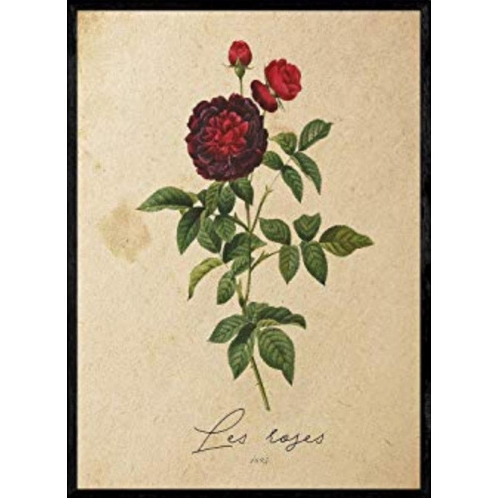 POSTER Rosen 2. A4 Schwarzer Rahmen - Schwarz, Papier (29.7/5/21cm) - Nacnic