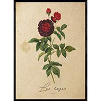 POSTER Rosen 2. A4 Schwarzer Rahmen - Schwarz, Papier (29.7/5/21cm) - Nacnic