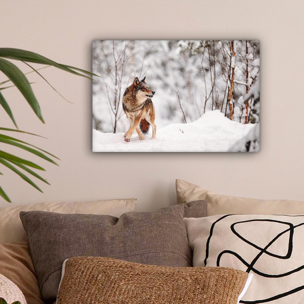 LEINWANDBILD Wolf - Winter - Schnee - Natur - Tiere Deko Schlafzimmer 30x20 cm - Haselnussfarben, Textil (30/20cm) - MuchoWow