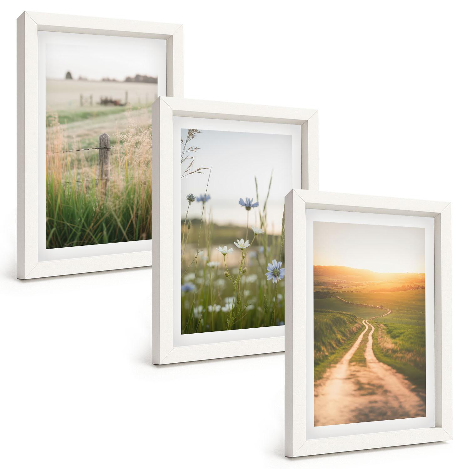 BILDER SET 3er Set - 20x30 cm Weißer Rahmen - Landschaften Natur Felder Weg - Weiß, Kunststoff (20/30cm) - TULUP