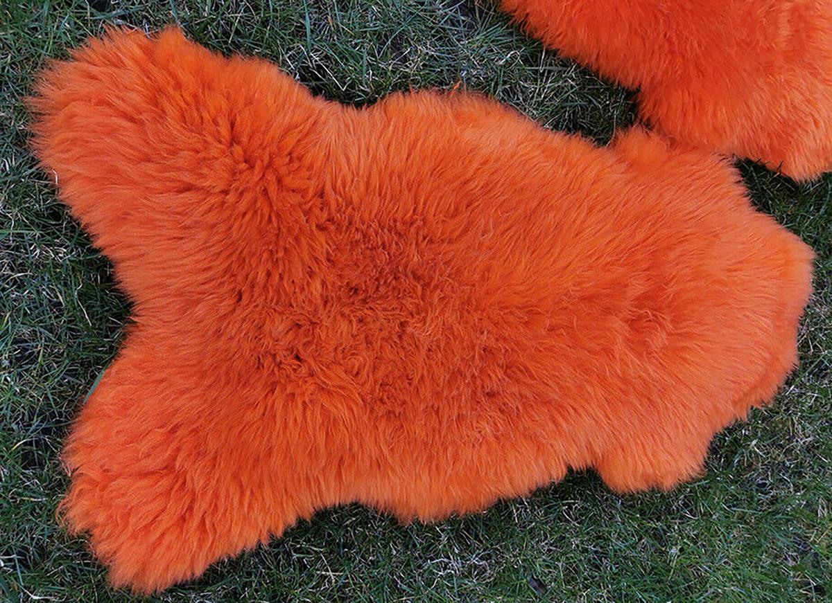 FELL Öko Lammfell Schaffell Orange Mandarine ca. 110 cm - Orange, Fell (60/110cm) - Provellus