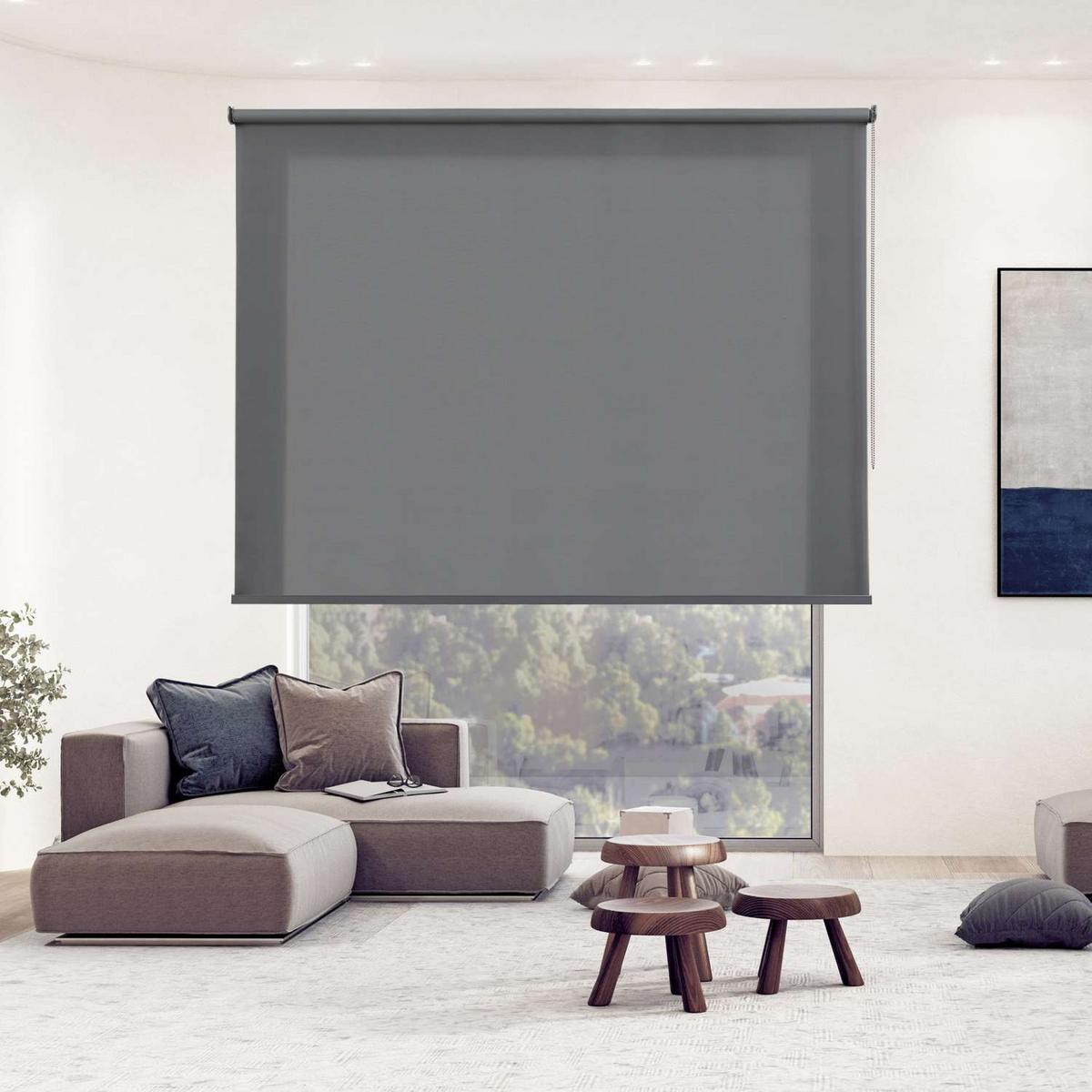 ROLLO| Grau, 100 cm x 180 cm - Dunkelgrau, Kunststoff (100/180cm) - STORESDECO