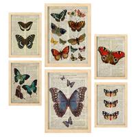 POSTER Set Mit 6 Schmetterlinge Vintage Papier Stil Plakate Mit Enzyklopädie Hintergründen Bunte Schmetterlinge A3 & A4 Rahmen Aus Hellem Holz - Beige, Papier (29/3cm) - Nacnic
