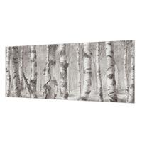FOTOTAPETE 250x104 cm - Birkenwald - Schwarz, Textil (250/104cm) - Wallfluent