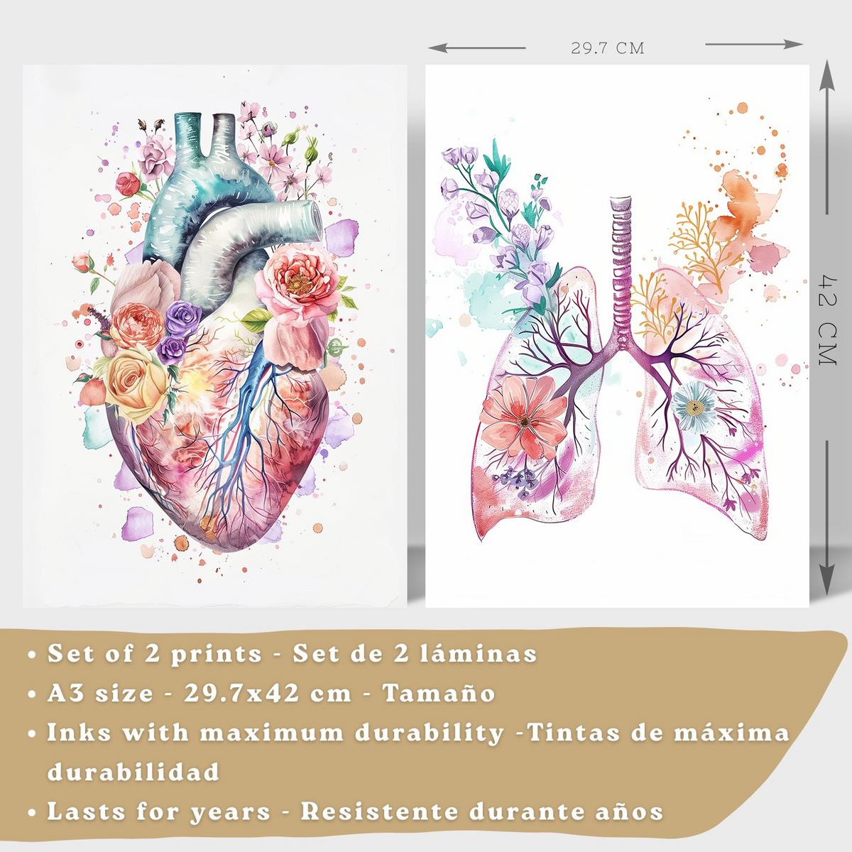 POSTER Set aus 2 Anatomie Mensch Drucke und Wandbilder mit Herz und Atmungssystem Floraler Stil Medizinische Wanddekoration Größe Schwarzer Rahmen A3 - Schwarz, Papier (29.7/42/3cm) - Nacnic