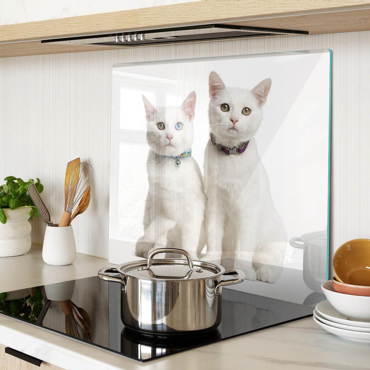 GLASPLATTE 60x52 cm Weiße Katzen - Creme, Glas (60/52cm) - TULUP